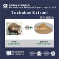 factory supply 10% 20% 30% 40% 50% polysaccharide hoelen extract